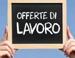 Offerte di lavoro